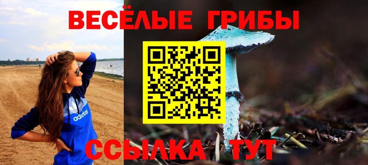 Псилоцибиновые грибы прущие грибы  Галлюциногенные грибы Psilocybe  Горячий Ключ  Вход с VPN 