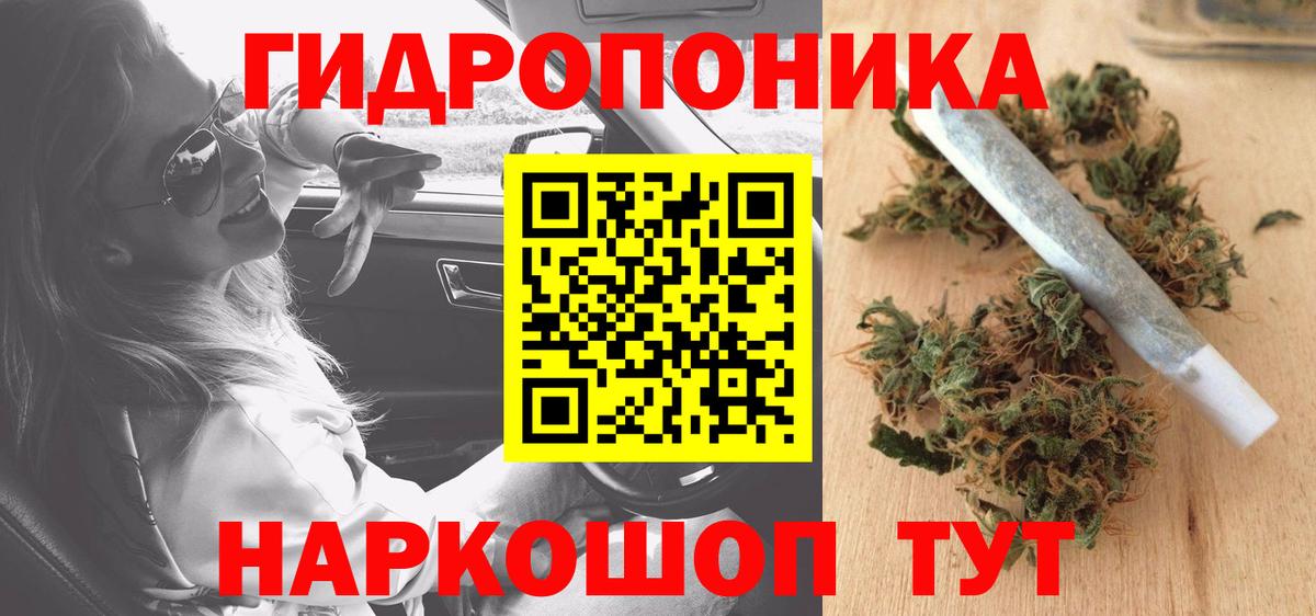 Каннабис OG Kush  Марихуана конопля  Горячий Ключ  Марихуана план  Вход с VPN 